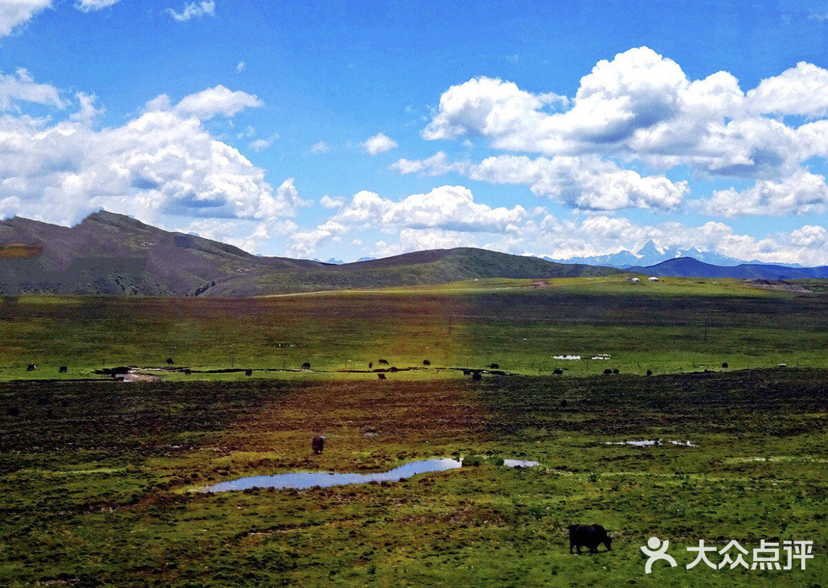 成都周边游[加油]夏季若尔盖大草原旅行