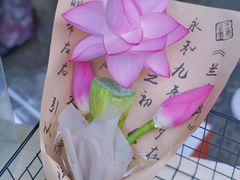 -山塘街