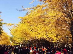-辽宁大学(崇山校区)