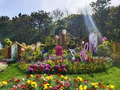 -上海共青森林公园