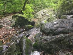 -大连天门山国家森林公园