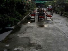 -沙龙酒家