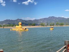 -野鸭湖国家湿地公园