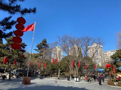-团结湖公园