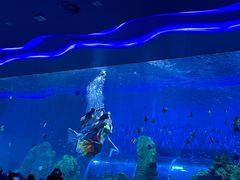 -石家庄极地海洋世界