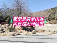 -石老人观光园