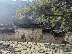 -杨家堂村