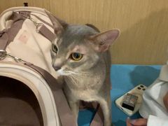 -美迦爱-牙专科·兔科·骨科诊疗中心(北苑店)