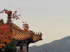 -北京十三陵国家森林公园蟒山景区