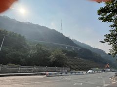 -李子坝梁山鸡(李子坝大鸡哥店)