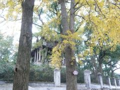 景点-蒋氏故居