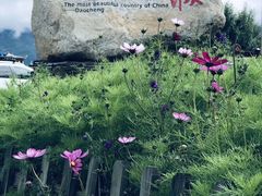 -康定跑马山风景区