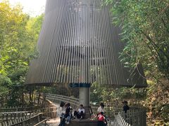-福道