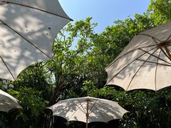 -Fern Forest Cafe