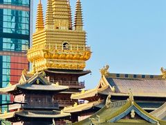 -静安公园(静安寺街道)