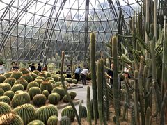 -深圳仙湖植物园