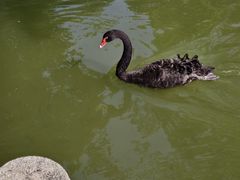 -珠海圆明新园