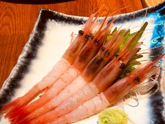 -千代武日本料理(爱建店)