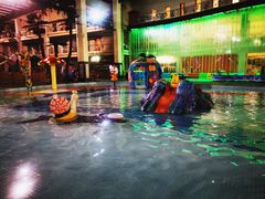 -南宫温泉水世界