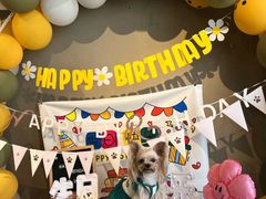 -百好乐宠物友好餐厅(朝外大街店)