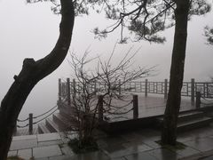 -庐山风景区花径公园