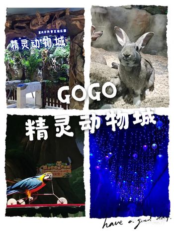 谁谁强烈推荐精灵动物城，带着娃儿与小精灵们来个亲密的