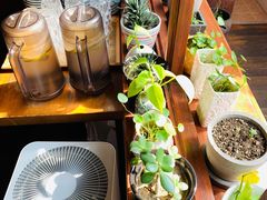 -铃木食堂(帽儿胡同店)