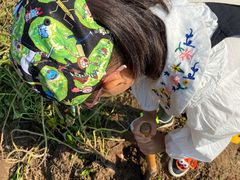 -前小桔亲子创意农场·草莓采摘·露营烧烤