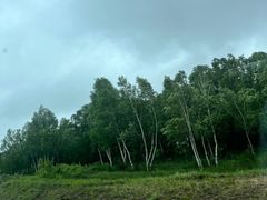 -御道口草原森林风景区
