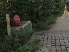 -紫金山山顶公园