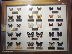 -上海昆虫博物馆