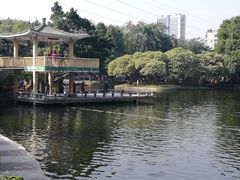 -晓港公园