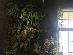 -咖啡人·融合餐厅(健康东路店)
