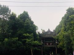 -凤栖山