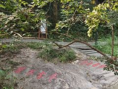 -白鹿洞书院