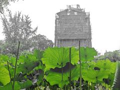 -四川大学(华西校区)