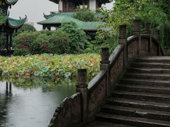 -桂湖森林公园