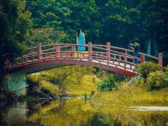 -东莞植物园