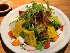 -Hatsune隐泉日式料理(三里屯太古里店)
