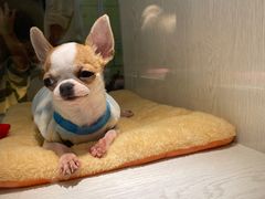 -乐宠宠物店(世纪金源店)