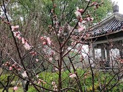 -无锡梅园公园