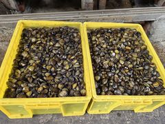 -红旗山庄(圭峰山店)