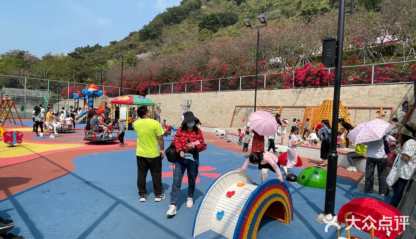 樱花已谢，游乐园永存