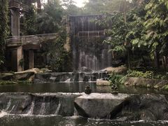 -吉隆坡雀鸟公园