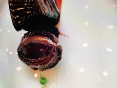 -杭州临平万丽酒店·万丽轩中餐厅