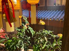 -叶叶菩提·晋福宫