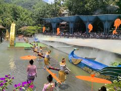 -西双版纳原始森林公园