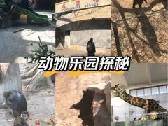 -石家庄市动物园