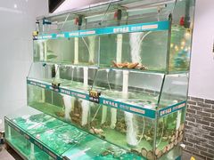 -翟辉冬瓜盅火锅(南村万博店)