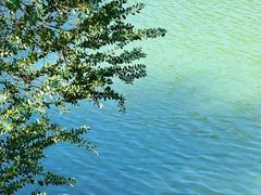 -广州白江湖森林公园